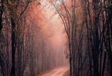 股票用哪个app比较好:股票账户开户日期怎么查-重磅药品销量破百亿 创新药“一哥”持续盈利仍存隐忧